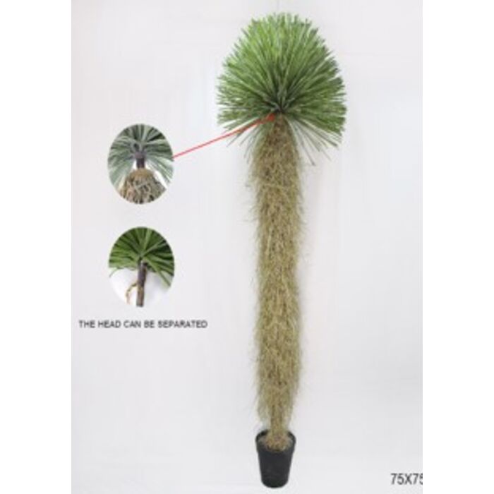 Deko Pflanze Yucca Rostrata 240cm
