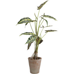 55921 - Deko Pflanze Alocasia 80cm