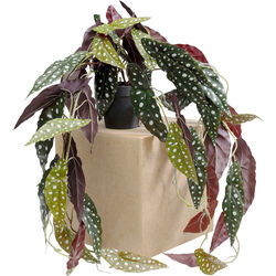 Deko Pflanze Begonia 45cm