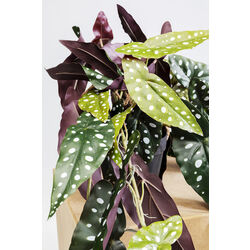 Deco Plant Begonia 45cm