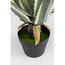 Deko Pflanze Agave 50cm