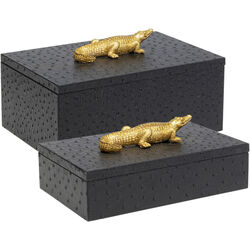 Box Crocodile Black (2/Set)