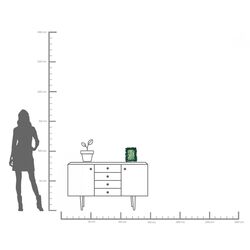 Bilderrahmen Ginkgo Leaf Grün 20x24cm