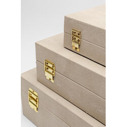 Box Classy Flat (3/Set)