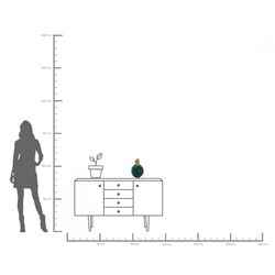 Deko Dose Jackfruit Monkey 30cm