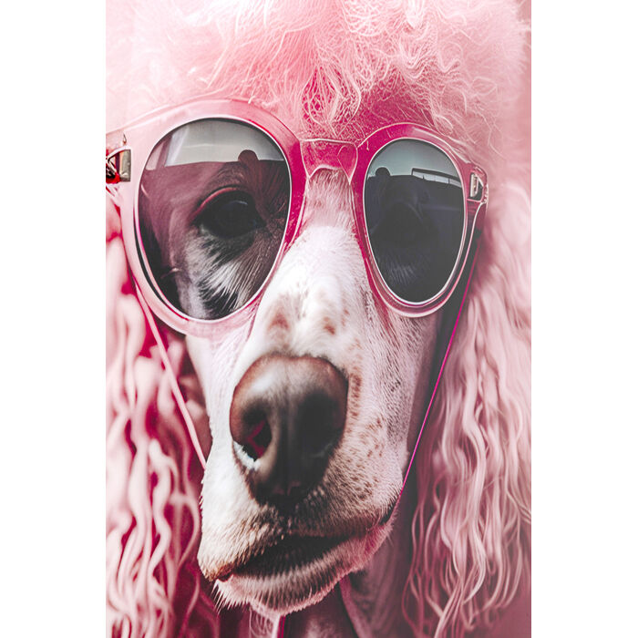 Glasbild Pink Poodle 80x120cm