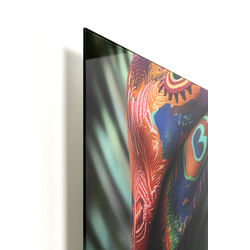 Glasbild Muse Peacock 100x100cm