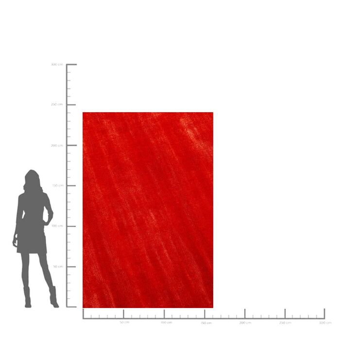 Teppich Cosy Rot 170x240cm