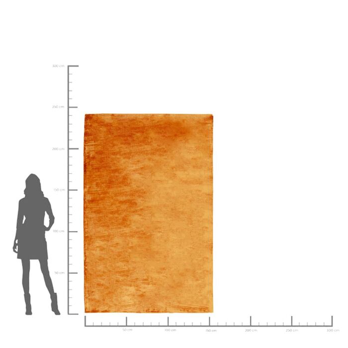 Teppich Cosy Orange 170x240cm