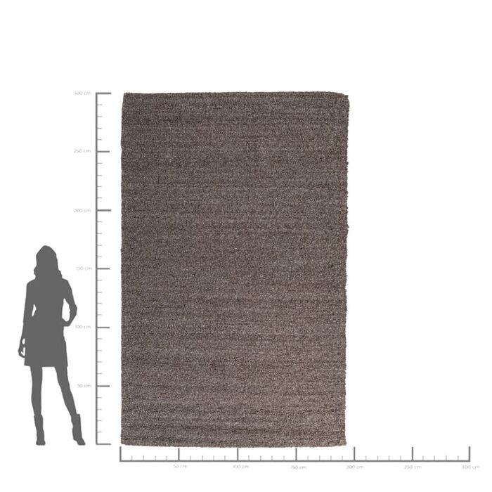 Teppich Boucara Grau/Braun 200x300cm