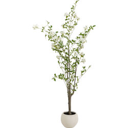 57947 - Deco Plant Plumbago Tree 152cm