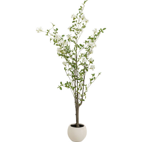 Planta Deco Plumbago Árbol 152cm