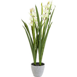 58434 - Deko Pflanze Orchid 100cm