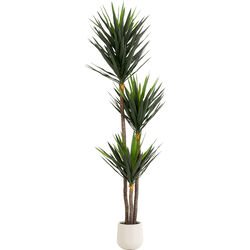 58435 - Deko Pflanze Yucca 250cm
