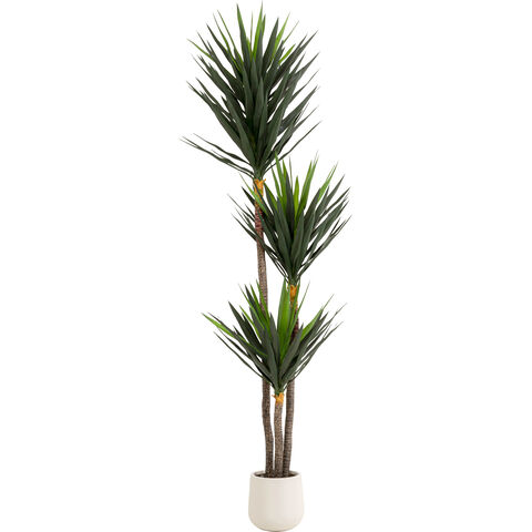 Planta deco Yucca 250cm