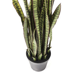 Plante décorative Sansewieria 155cm