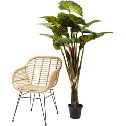 Planta deco Rainforest verde 160cm