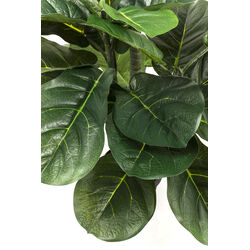 Deko Pflanze Fiddle Leaf 120cm