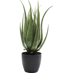 Planta deco Aloe 69cm