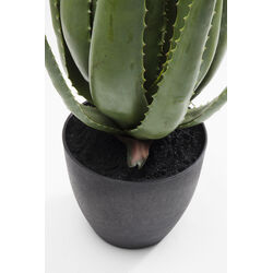 Deco Plant Aloe 69cm