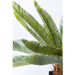 Deko Pflanze Cycas Tree 78cm