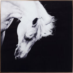 Picture Frame Alu Proud Horse 100x100cm