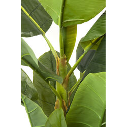 Deko Pflanze Banana Tree 180cm