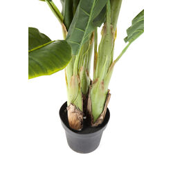 Deko Pflanze Banana Tree 180cm