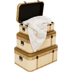 Truhe Viaggo (3/Set)