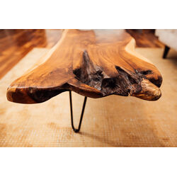 Coffee Table Aspen Nature 106x41cm