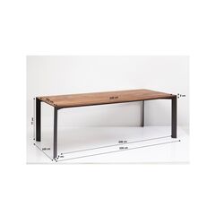 Table Phoenix 220x100cm