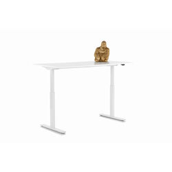 Scrivania Office bianco bianco 160x80