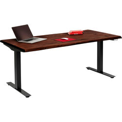 Bureau Office Harmony foncé 200x100