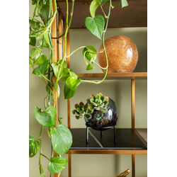 Shelf Cesaro 90x170cm