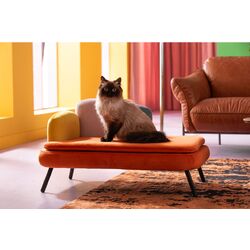 86370 - Dog/Cat Bed Diva Orange