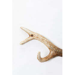 Appendiabiti da parete Antler Nature 35cm