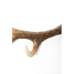 Appendiabiti da parete Antler Nature 35cm