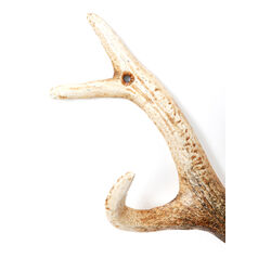 Garderobe murale Antler nature 35cm