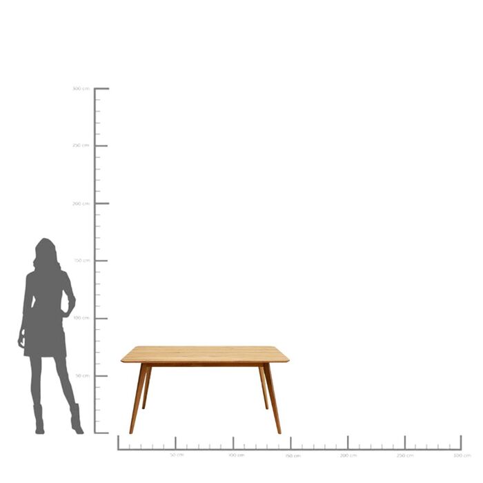 Tisch Memo 160x90cm